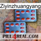 Ziyinzhuangyang 05